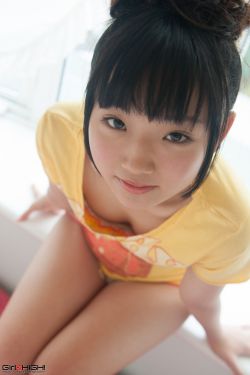 鸿鹄逸游