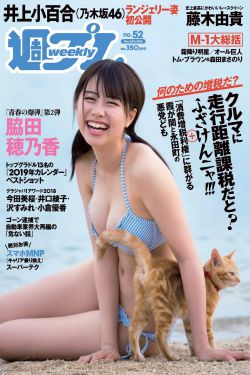 龙腾小说白洁